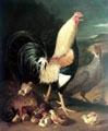 unknow artist Cock hen and chicken Sweden oil painting art